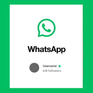 WhatsApp Channel Followers